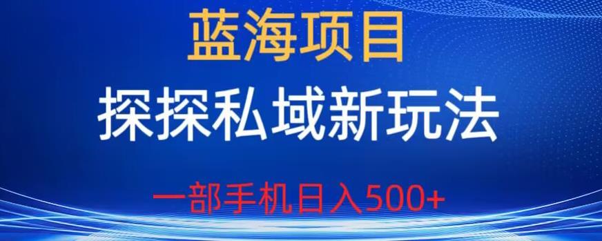 蓝海项目，探探私域新玩法，一部手机日入500+很轻松【揭秘】-萝卜兔资源站