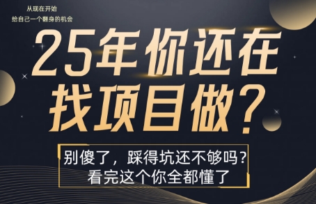 25年，你还在疯狂的找项目吗？别傻了，看完这个你都懂了【揭秘】-萝卜兔资源站