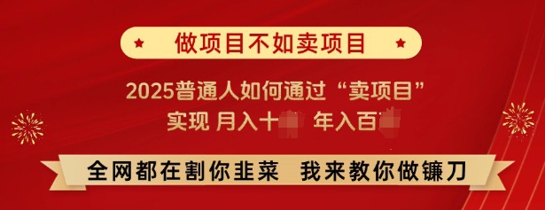 必看，做项目不如卖项目，2025普通人如何通过“卖项目”实现月入十个，年入百个-萝卜兔资源站