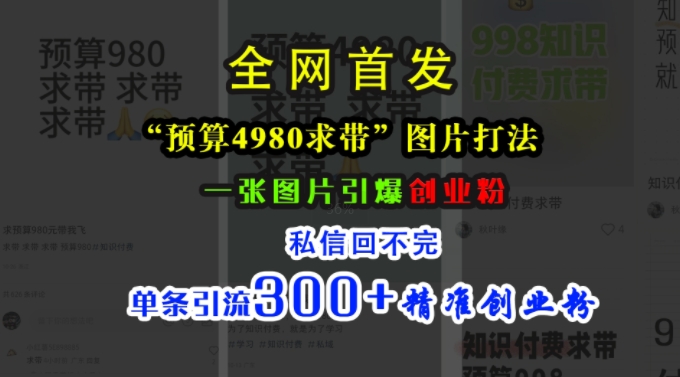小红书“预算4980带我飞”图片打法，一张图片引爆创业粉，私信回不完，单条引流300+精准创业粉-萝卜兔资源站