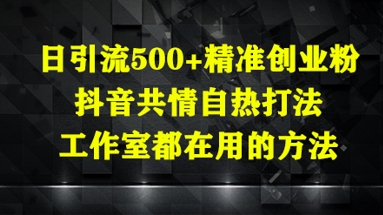 日引流500+精准创业粉，抖音共情自热打法，工作室都在用的方法-萝卜兔资源站