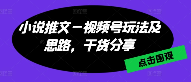 小说推文—视频号玩法及思路，干货分享-萝卜兔资源站