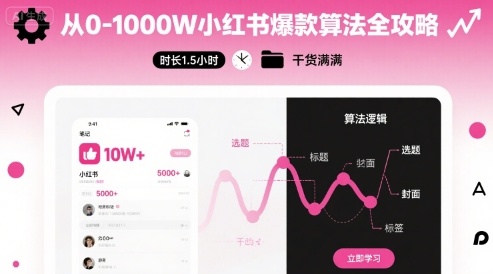 从0-1000W小红书爆款算法全攻略，时长1.5小时，干货满满-萝卜兔资源站