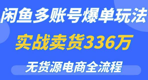 闲鱼多账号爆单玩法，无货源电商全流程，超简单的0门槛变现项目【揭秘】-萝卜兔资源站