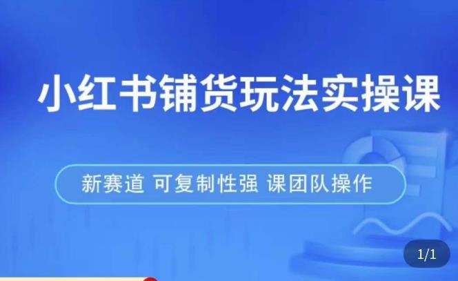 小红书铺货玩法实操课，流量大，竞争小，非常好做，新赛道，可复制性强，可团队操作【揭秘】-萝卜兔资源站