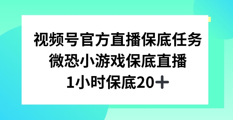视频号直播任务，微恐小游戏，1小时20+【揭秘】-萝卜兔资源站