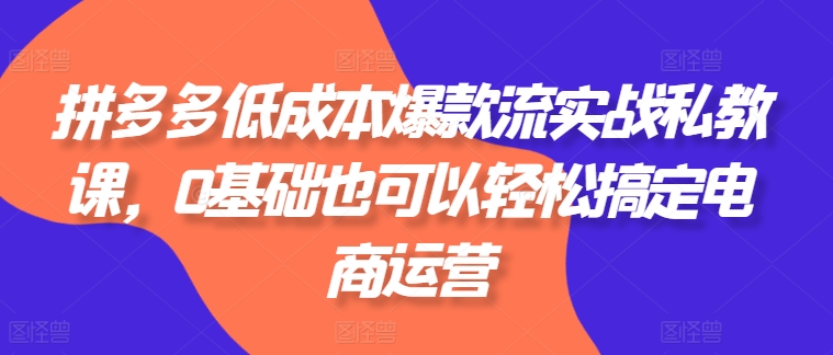 拼多多低成本爆款流实战私教课，0基础也可以轻松搞定电商运营-萝卜兔资源站