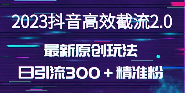 日引300＋创业粉，独家抖音高效截流2.0玩法（价值1280）【揭秘】-萝卜兔资源站