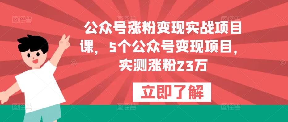 公众号涨粉变现实战项目课，5个公众号变现项目，实测涨粉23万【揭秘】-萝卜兔资源站