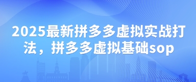 2025最新拼多多虚拟实战打法，拼多多虚拟基础sop-萝卜兔资源站