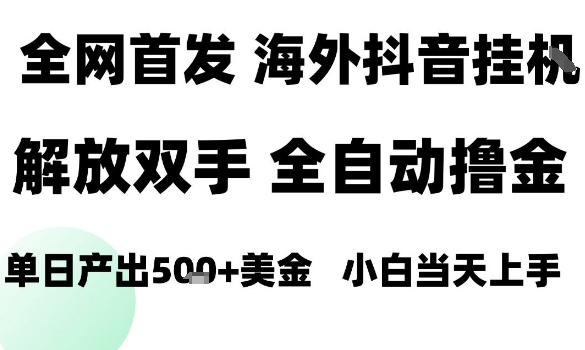 海外抖音无人直播，单日产出1.5k+，长期稳定，新手可玩，无脑操作【揭秘】-萝卜兔资源站