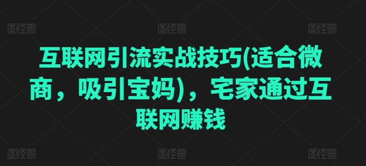 互联网引流实战技巧(适合微商，吸引宝妈)，宅家通过互联网赚钱-萝卜兔资源站