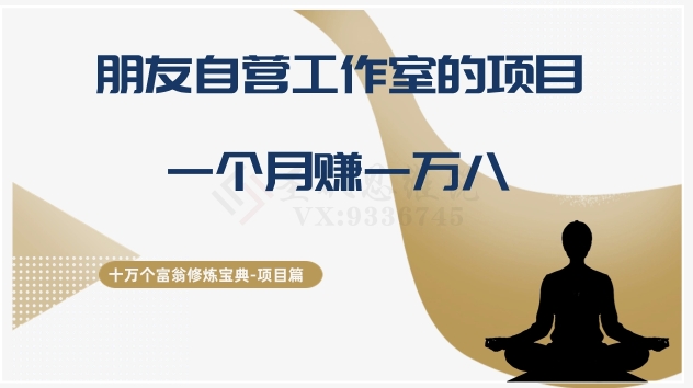 十万个富翁修炼宝典之16.朋友自营工作室的项目，一个月赚一万八-萝卜兔资源站