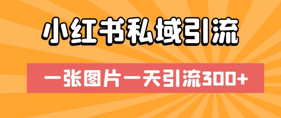 小红书私域引流，一张图片一天引流300+【揭秘】-萝卜兔资源站