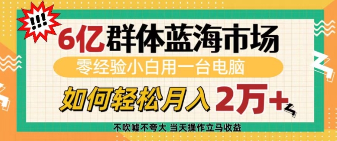6亿群体蓝海市场，零经验小白用一台电脑，如何轻松月入过w【揭秘】-萝卜兔资源站