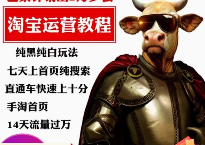 猫老师·淘系算法逆向解密，​纯黑纯白玩法，七天上首页纯搜索，手淘首页14天流量过万-萝卜兔资源站