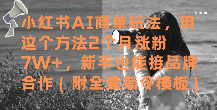小红书AI商单玩法，用这个方法2个月涨粉7W+，新手也能接品牌合作(附全套指令模板)-萝卜兔资源站