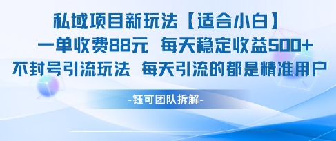 私域项目新玩法【适合小白】 一单收费88.每天稳定收益几张-萝卜兔资源站