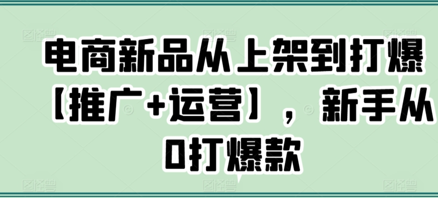 电商新品从上架到打爆【推广+运营】，新手从0打爆款-萝卜兔资源站