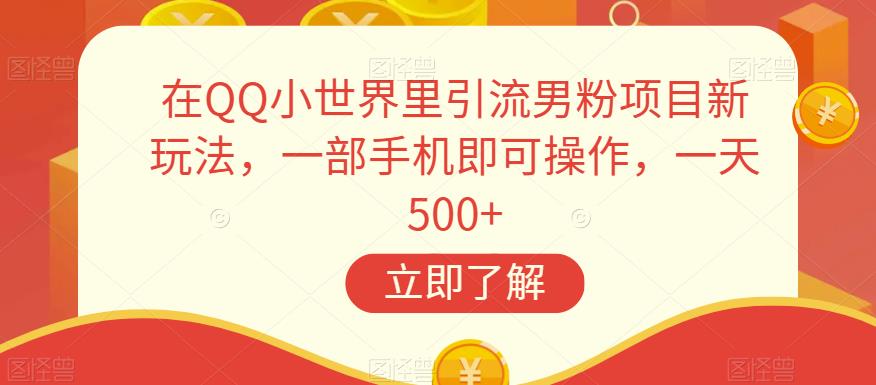在QQ小世界里引流男粉项目新玩法，一部手机即可操作，一天500+【揭秘】-萝卜兔资源站