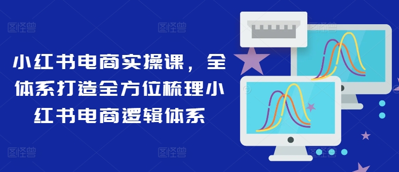 小红书电商实操课，全体系打造全方位梳理小红书电商逻辑体系-萝卜兔资源站