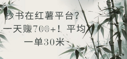 抄书在小红薯平台？平均一单30米，一天收益几张！-萝卜兔资源站