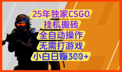 25年独家CSGO挂G搬砖，全自动操作，无需打游戏，小白日入3张+【揭秘】-萝卜兔资源站