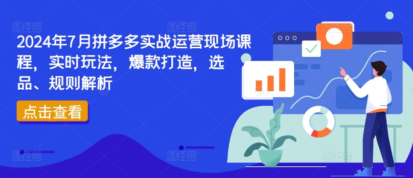 2024年7月拼多多实战运营现场课程，实时玩法，爆款打造，选品、规则解析-萝卜兔资源站