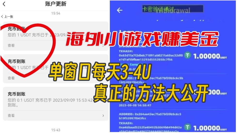 海外小游戏美金项目真正可以达到3-4U单窗口的方法，单台电脑收入300+【揭秘】-萝卜兔资源站