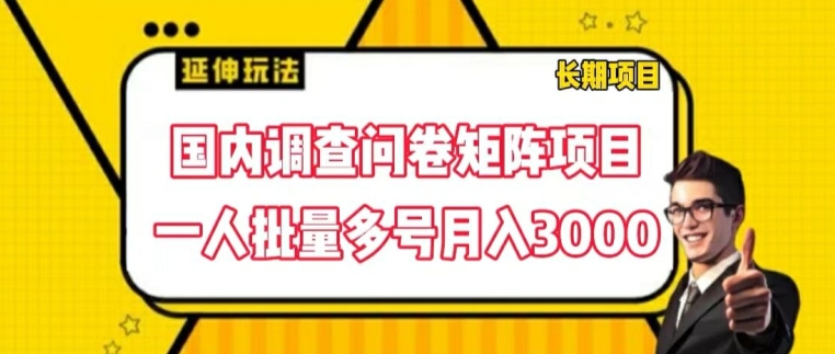 国内调查问卷矩阵项目，一人批量多号月入3000【揭秘】-萝卜兔资源站