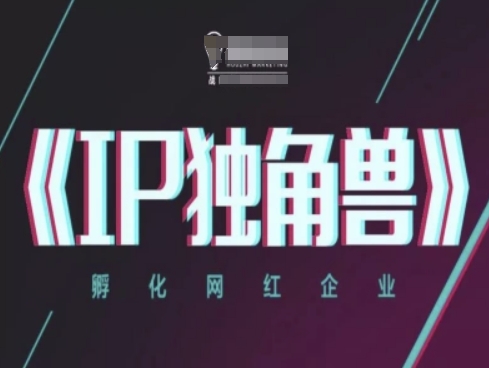 IP独角兽，孵化网红企业，ip教程-萝卜兔资源站