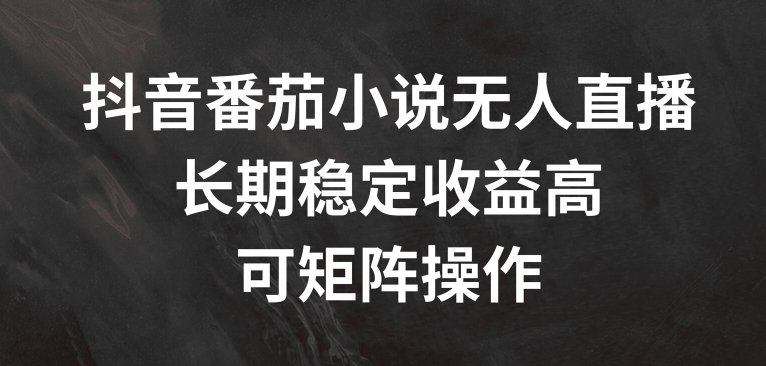 抖音番茄小说无人直播，长期稳定收益高，可矩阵操作【揭秘】-萝卜兔资源站
