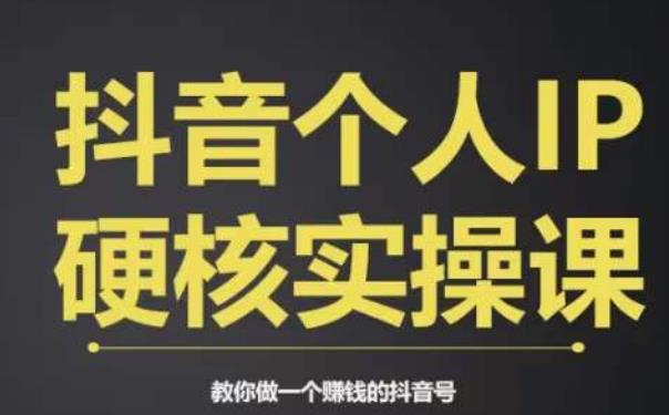 个人IP创富系统实战课，商业定位，流量打造，短视频变现，教你做个赚钱的抖音号-萝卜兔资源站