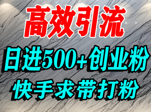 怎么打创业粉?快手求带视角精准引流创业粉,宝妈、学生群体日进500+精准流量-萝卜兔资源站