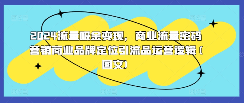 2024流量吸金变现，商业流量密码营销商业品牌定位引流品运营逻辑(图文)-萝卜兔资源站