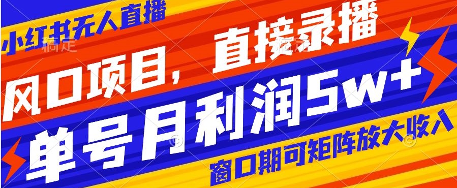风口项目，小红书无人直播带货，直接录播，可矩阵，月入5w+【揭秘】-萝卜兔资源站