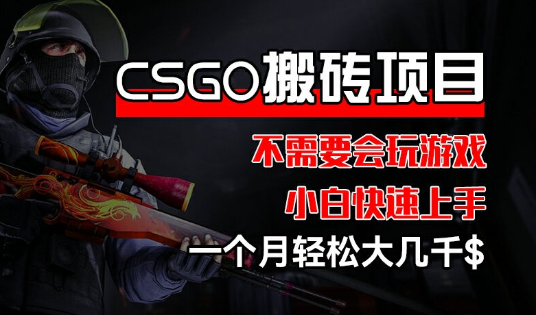 CSGO 装备搬砖项目，操作简单，不需要会玩游戏，小白也能快速上手，一个月轻松大几千【揭秘】-萝卜兔资源站
