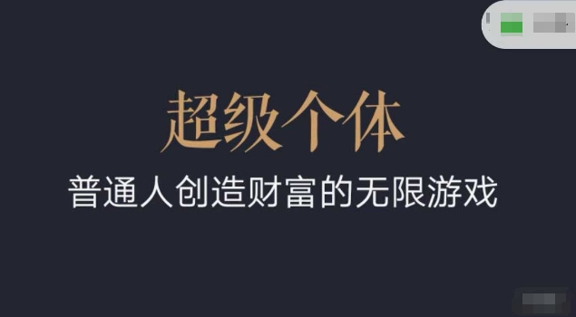 超级个体2024-2025翻盘指南，普通人创造财富的无限游戏-萝卜兔资源站