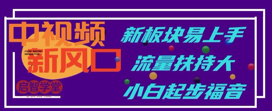 中视频新风口，新板块易上手，流量扶持大，小白起步福音【揭秘】-萝卜兔资源站