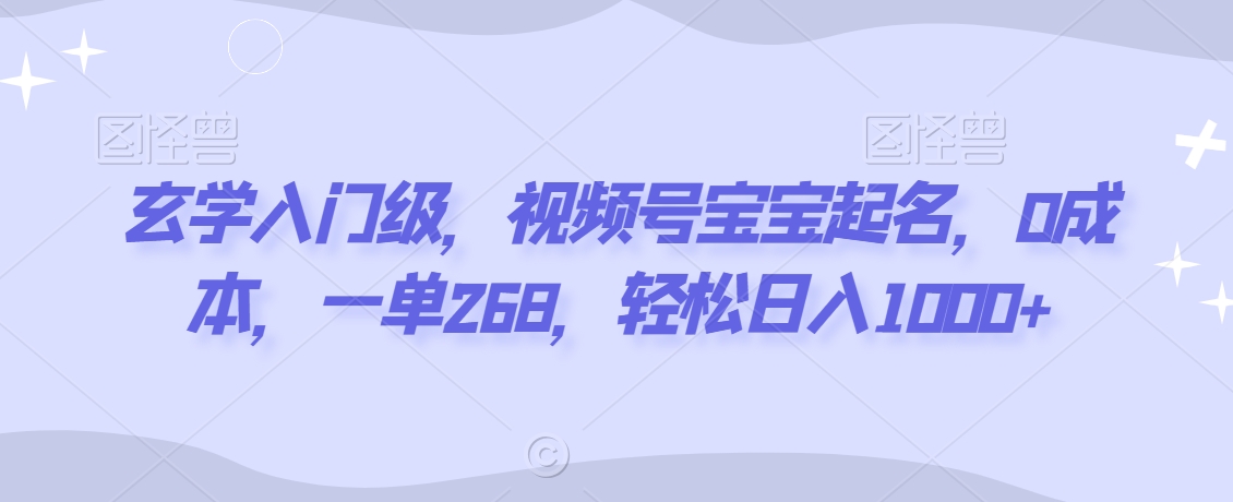 玄学入门级，视频号宝宝起名，0成本，一单268，轻松日入1000+【揭秘】-萝卜兔资源站