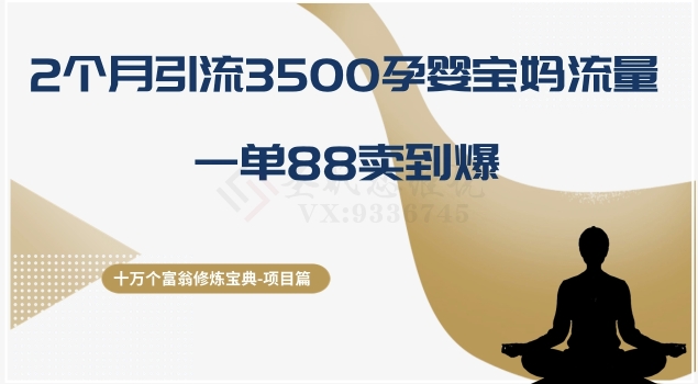十万个富翁修炼宝典之13.2个月引流3500孕婴宝妈流量，一单88卖到爆-萝卜兔资源站