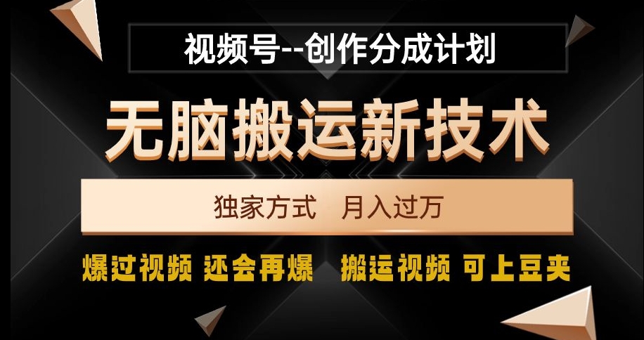 视频号无脑搬运新技术，破原创壕流量，独家方式，爆过视频，还会再爆【揭秘】-萝卜兔资源站