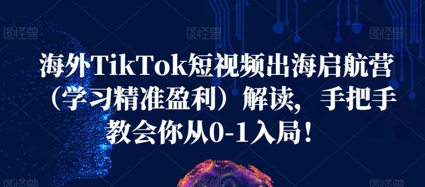 海外TikTok短视频出海启航营（学习精准盈利）解读，手把手教会你从0-1入局！-萝卜兔资源站
