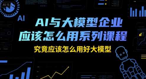 AI与大模型企业应该怎么用系列课程，究竟应该怎么用好大模型-萝卜兔资源站