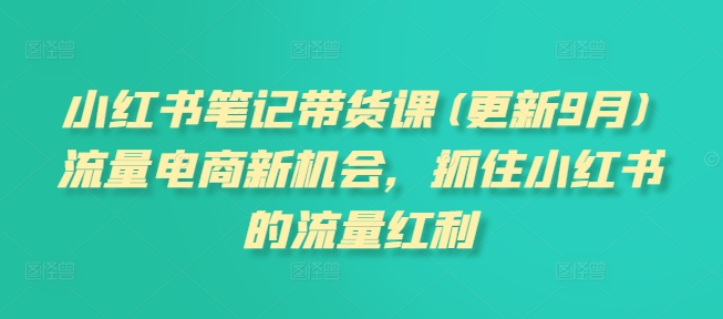 小红书笔记带货课(更新25年5月)流量电商新机会，抓住小红书的流量红利-萝卜兔资源站