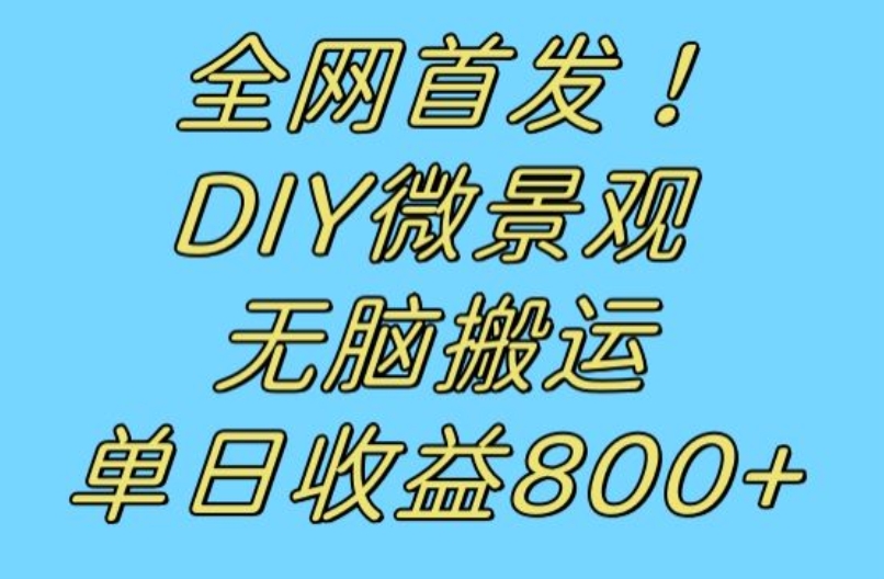 全网首发冷门赛道！DIY微景观，无脑搬运视频，日收益800+【揭秘】-萝卜兔资源站