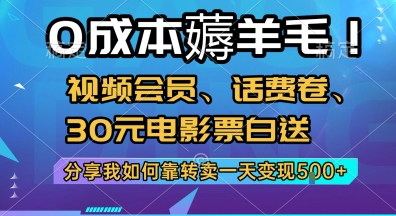 0成本薅羊毛!视频会员、话费卷、30元电影票白送，分享我如何靠转卖一天变现5张+【揭秘】-萝卜兔资源站