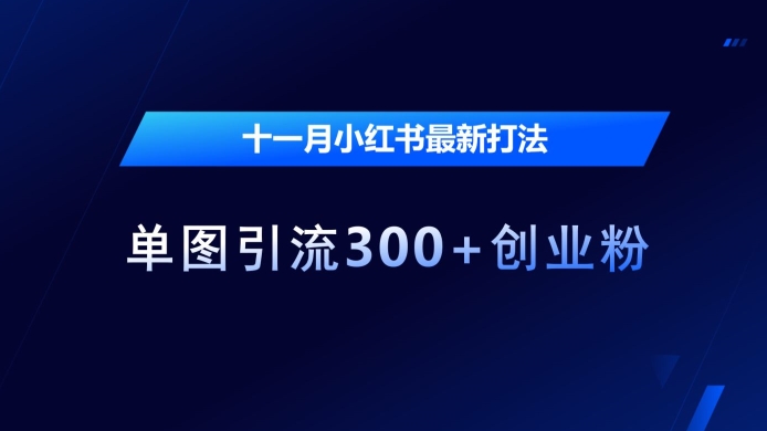 十一月小红书最新打法，单图引流300+创业粉【揭秘】-萝卜兔资源站