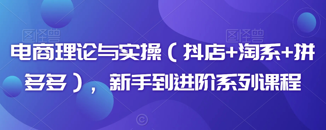 电商理论与实操（抖店+淘系+拼多多），新手到进阶系列课程-萝卜兔资源站