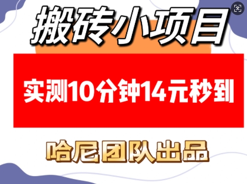 搬砖小项目，实测10分钟14元秒到，每天稳定几张(赠送必看稳定)-萝卜兔资源站